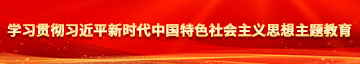 骚女人的BB学习贯彻习近平新时代中国特色社会主义思想主题教育